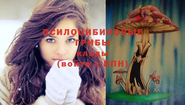 стафф Беломорск