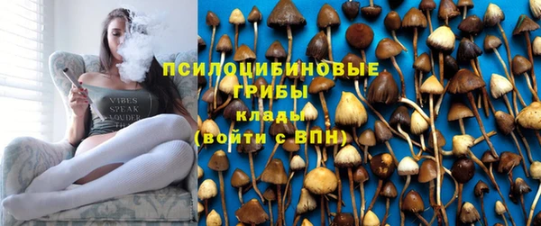 стафф Беломорск