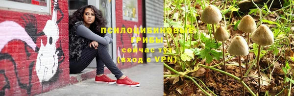 меф Белокуриха