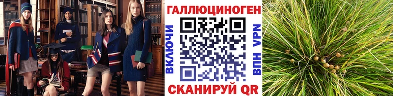 Галлюциногенные грибы Psilocybe  маркетплейс телеграм  Нариманов 
